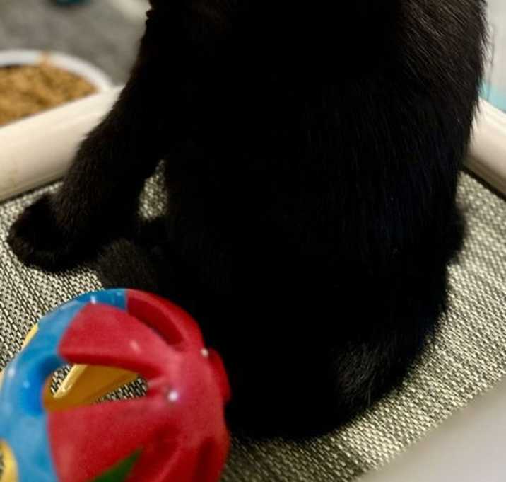 Photo of Cash