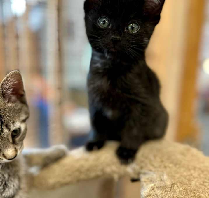 Photo of Tiny
