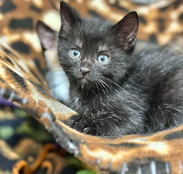 Photo of Bernie