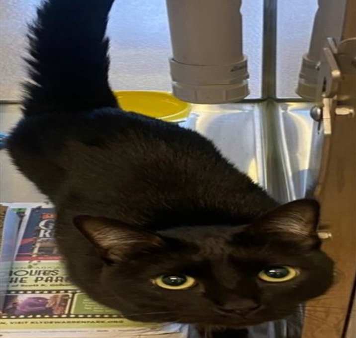 Photo of CHLOE