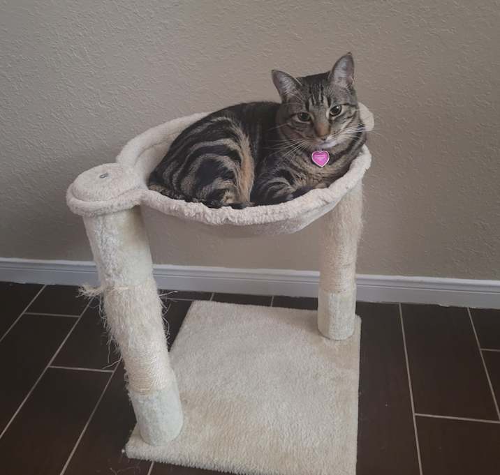 Photo of Wendy