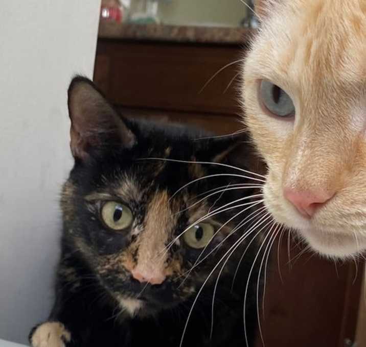 Photo of Noah and Allie