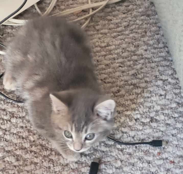 Photo of No name yet