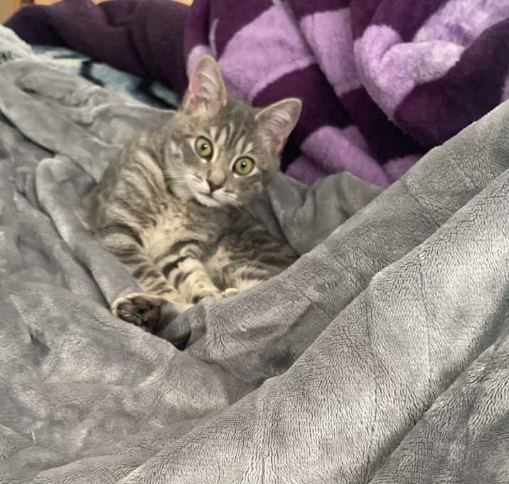 Photo of Bobbi