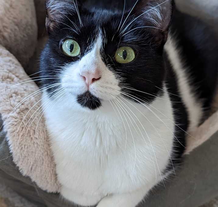 Photo of Kiki