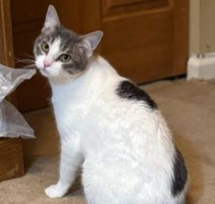 Photo of Molly