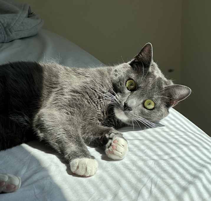 Photo of Remus