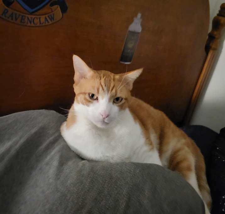 Photo of Happy