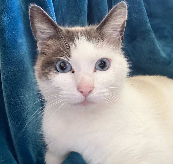 Photo of Wynona