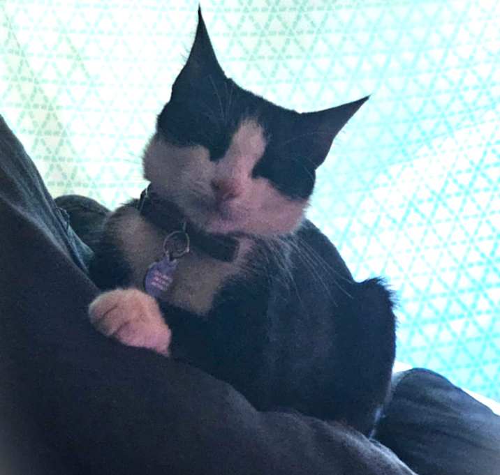 Photo of Lola