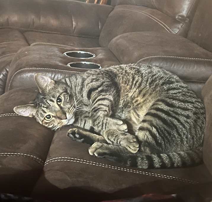 Photo of Dexter