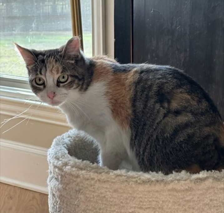 Photo of Jenny