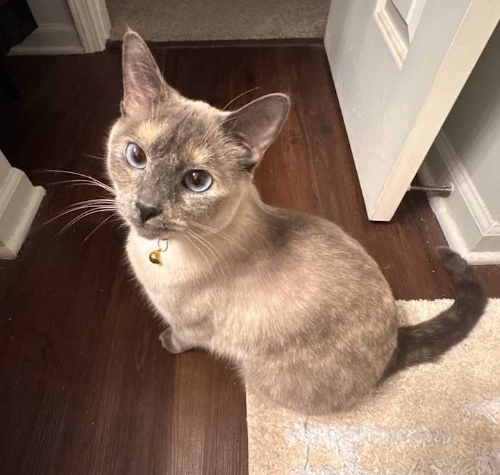 Photo of Vivian