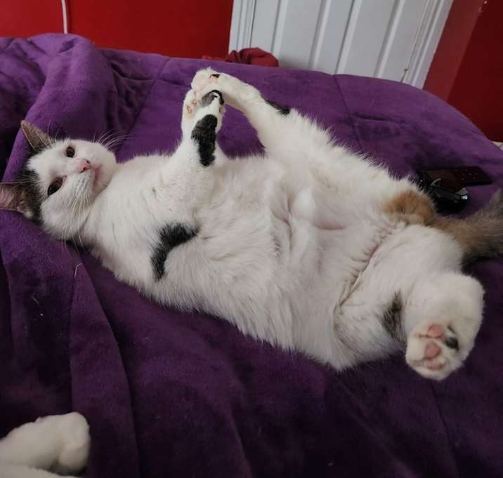 Photo of Toulouse Marie