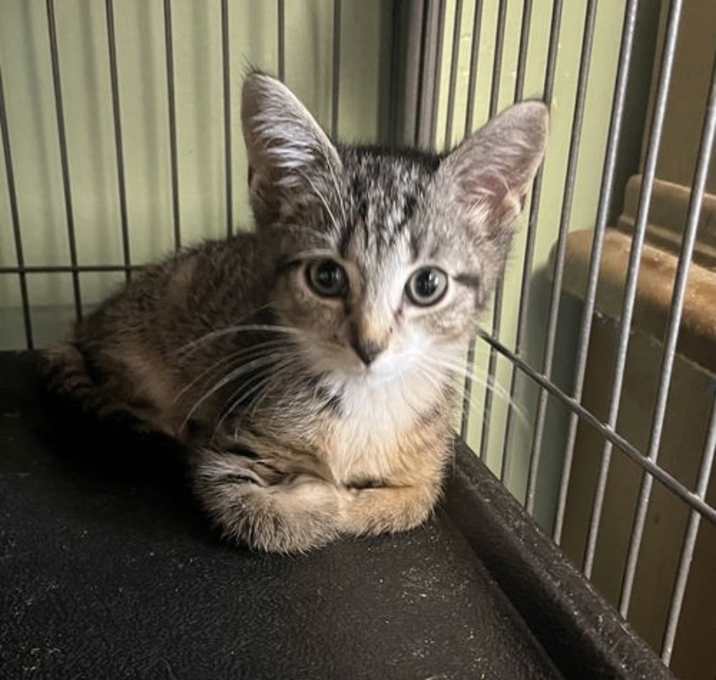 Photo of Sundance