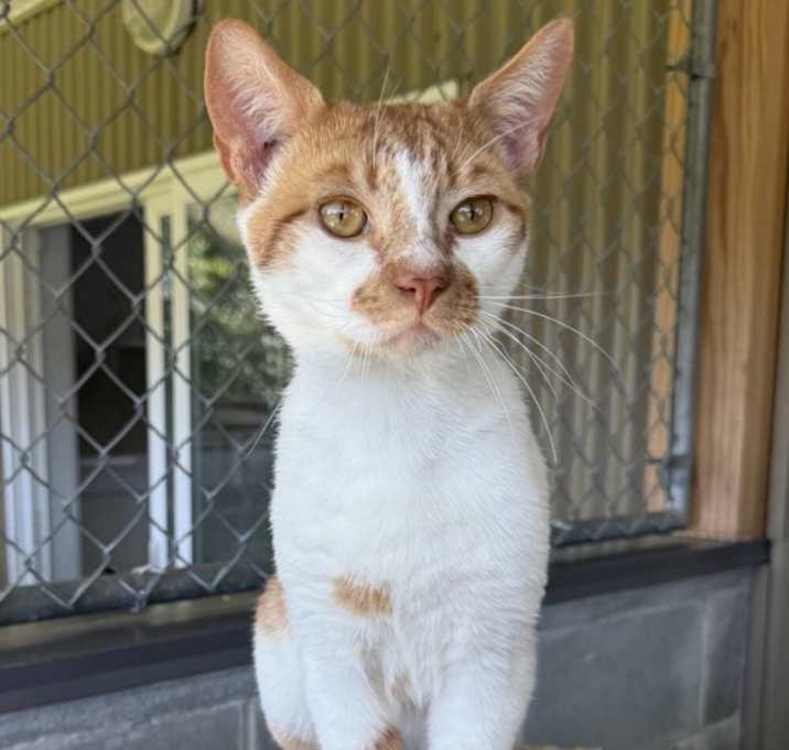 Photo of Duke