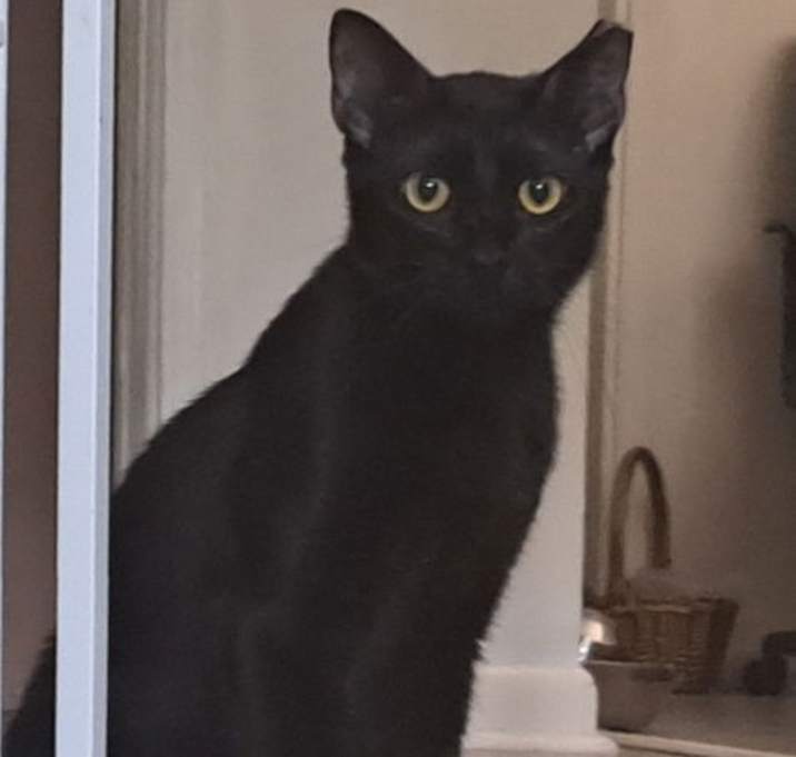 Photo of Lela