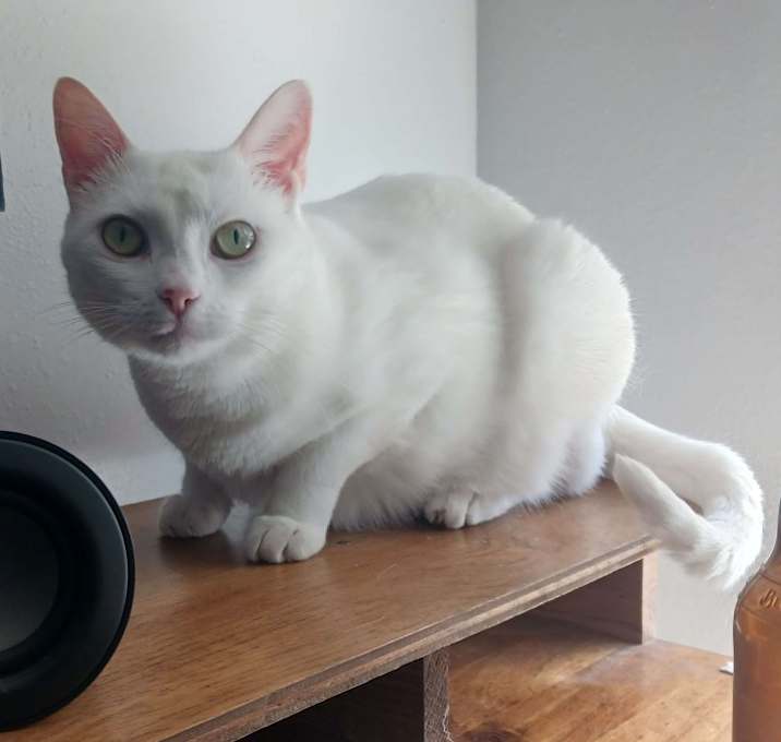 Photo of Sheena