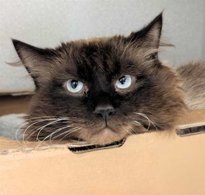 Photo of WOLFIE