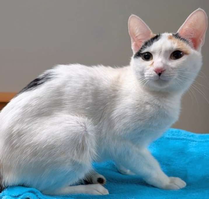 Photo of Maylee