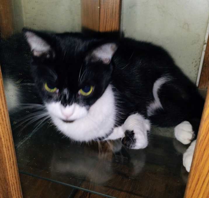 Photo of Chuck