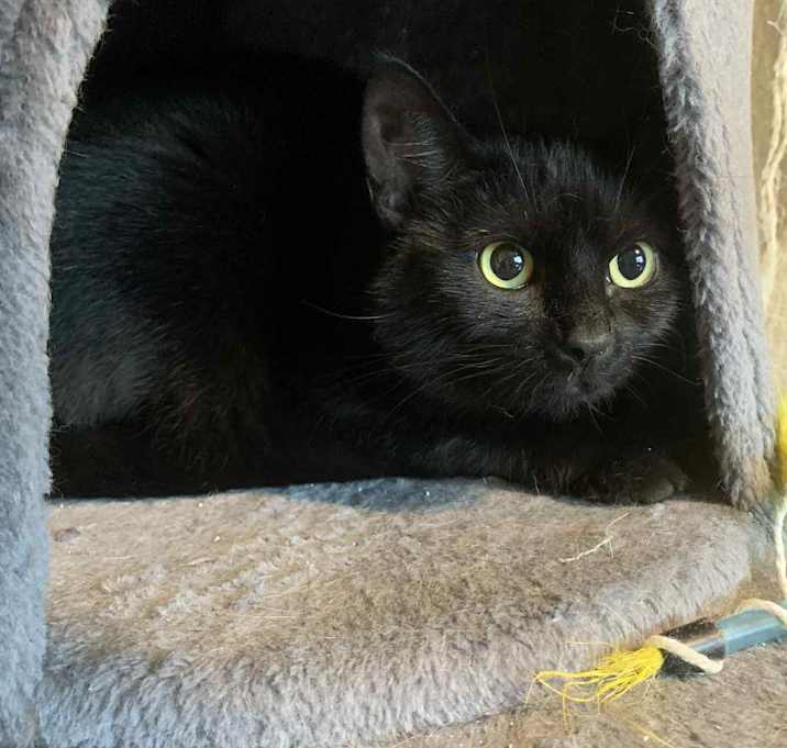 Photo of Freya