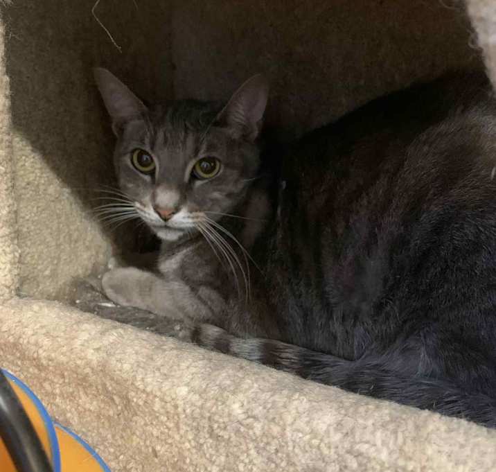 Photo of Bon Bon