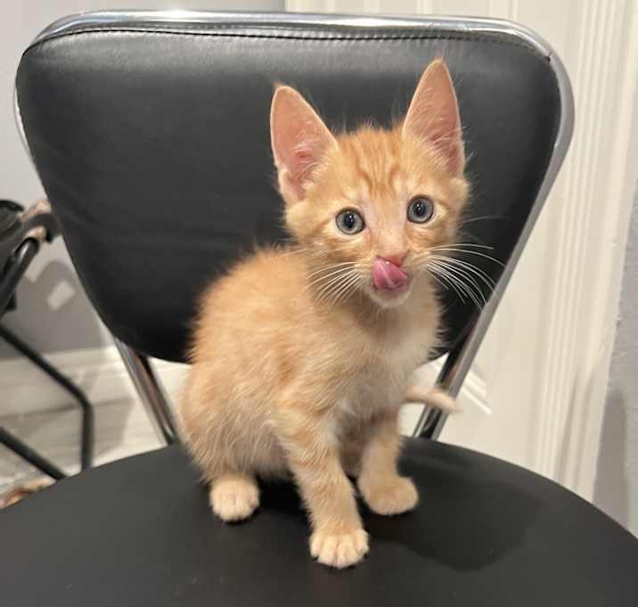 Photo of Timmy