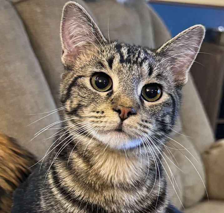 Photo of Kronk