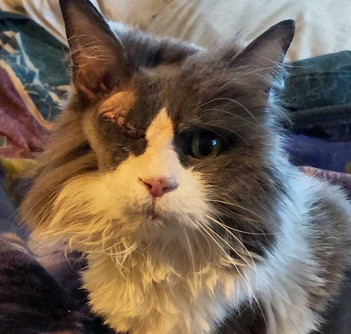 Photo of Precious