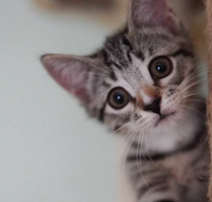 Photo of Imogen
