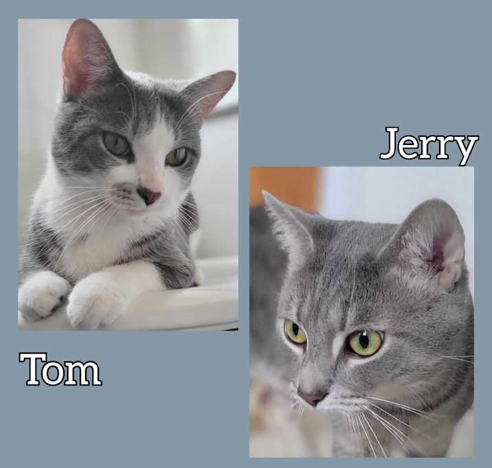 Photo of Tom & Jerry