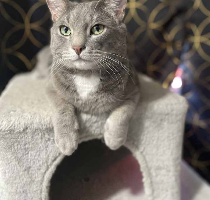 Photo of Terrance