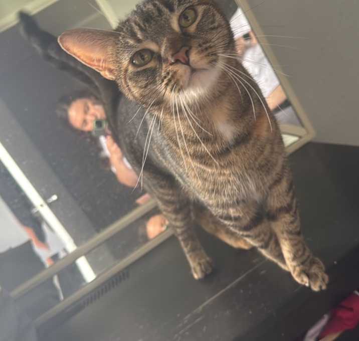 Photo of Arabella
