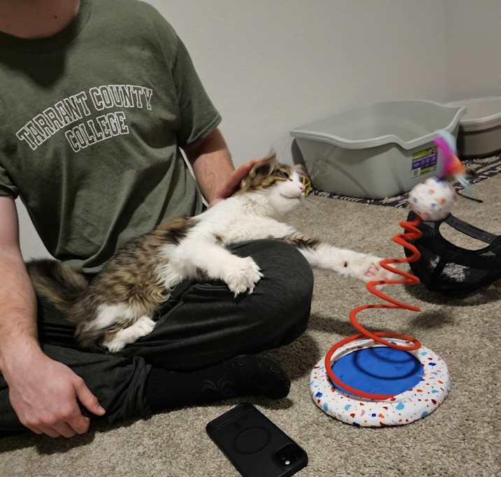 Photo of Trouble