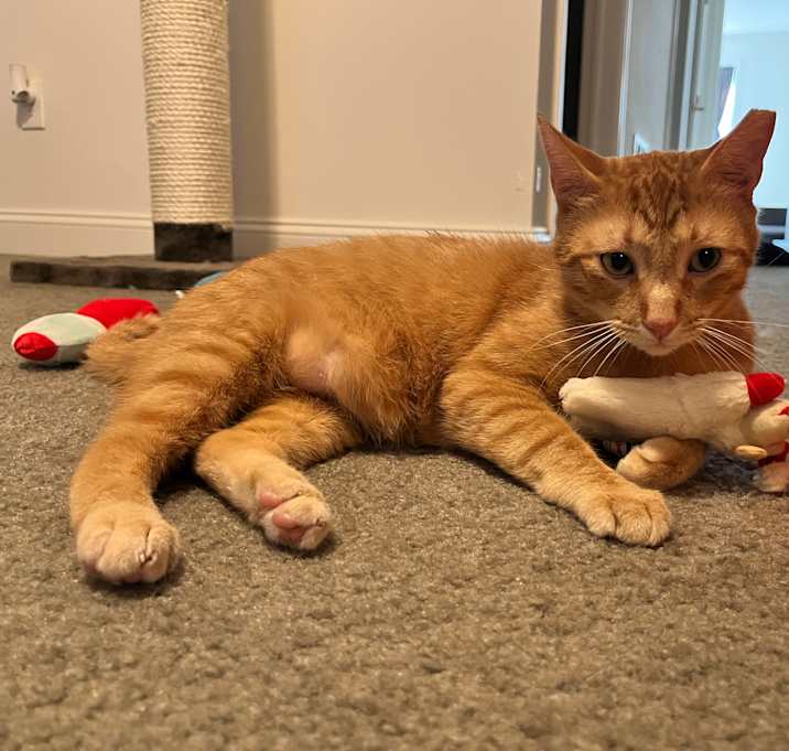 Photo of Jax