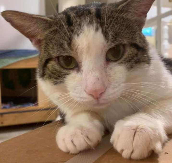Photo of WINSTON