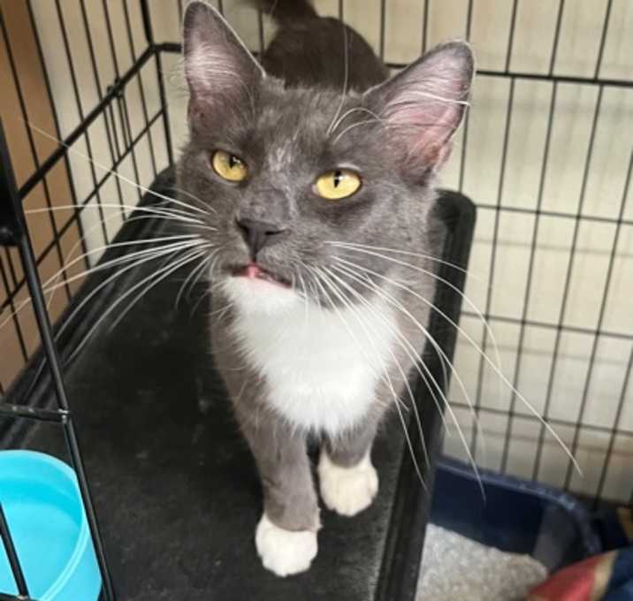 Photo of Fran