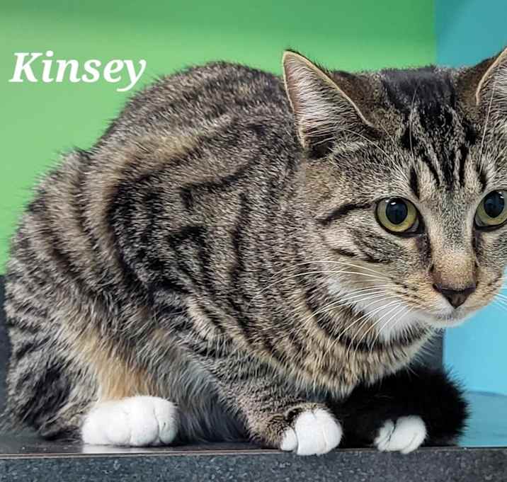 Photo of Kinsey