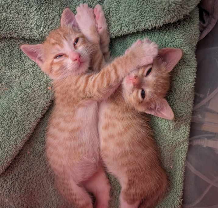 Photo of Big boy & Sad girl