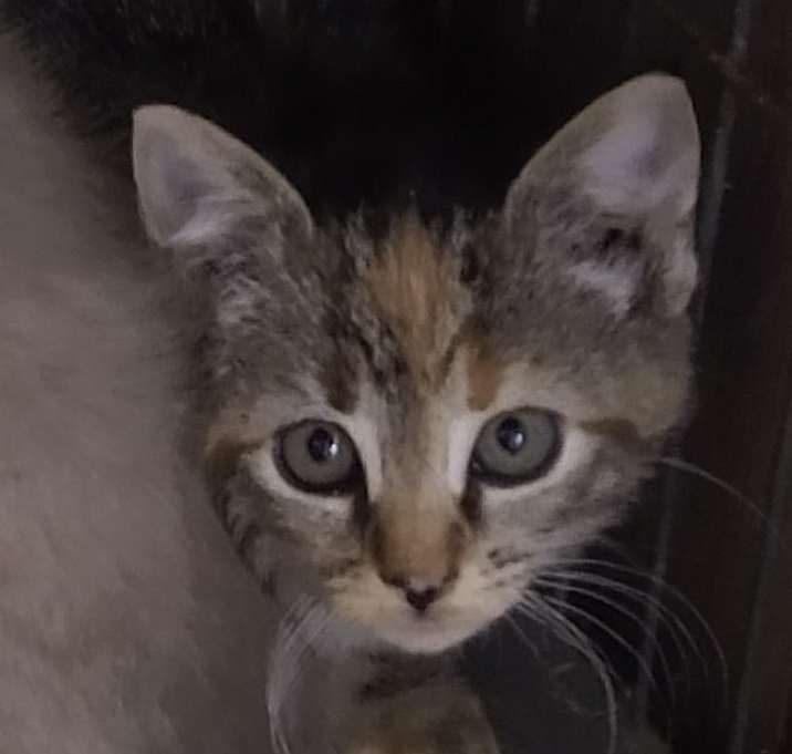 Photo of Leia
