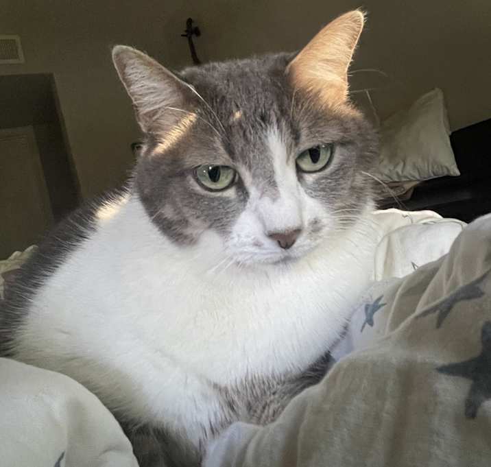 Photo of Clara