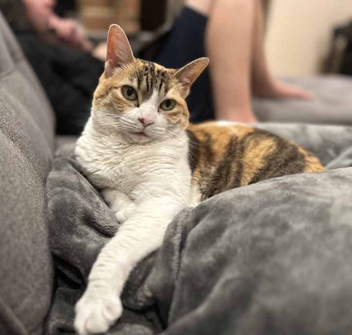 Photo of Momo