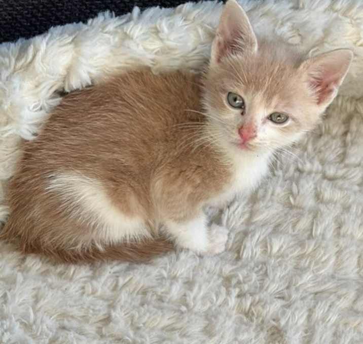 Photo of Jasper
