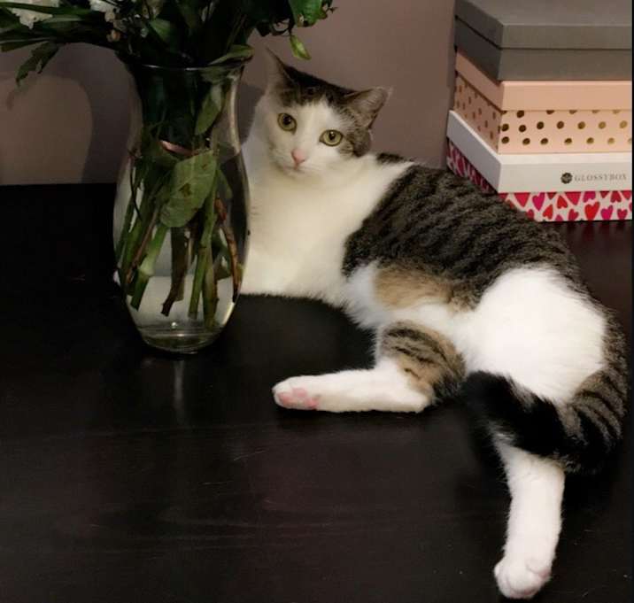 Photo of Missy