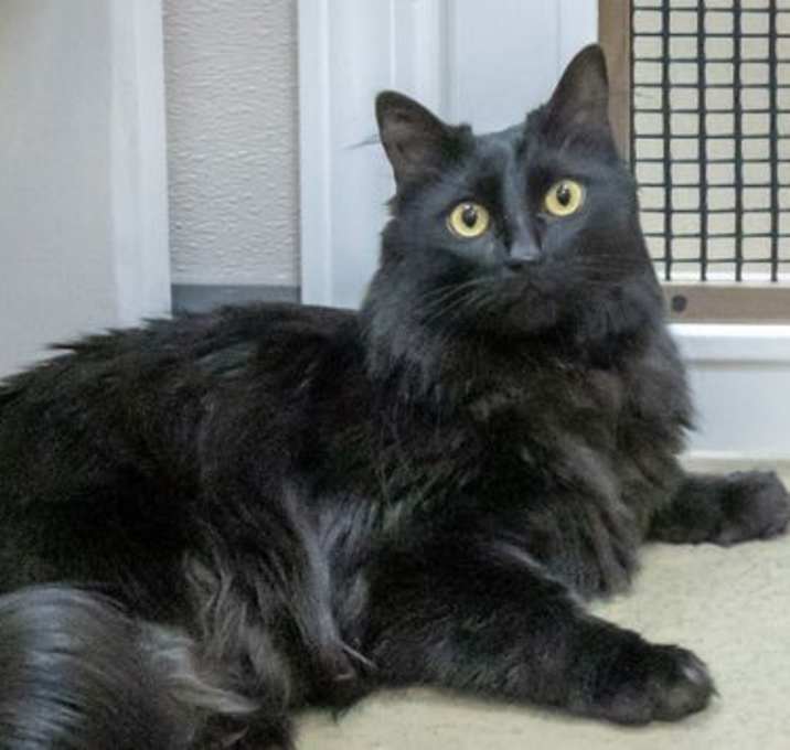 Photo of Rosie