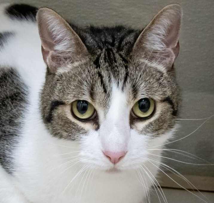 Photo of Mr. Charlie