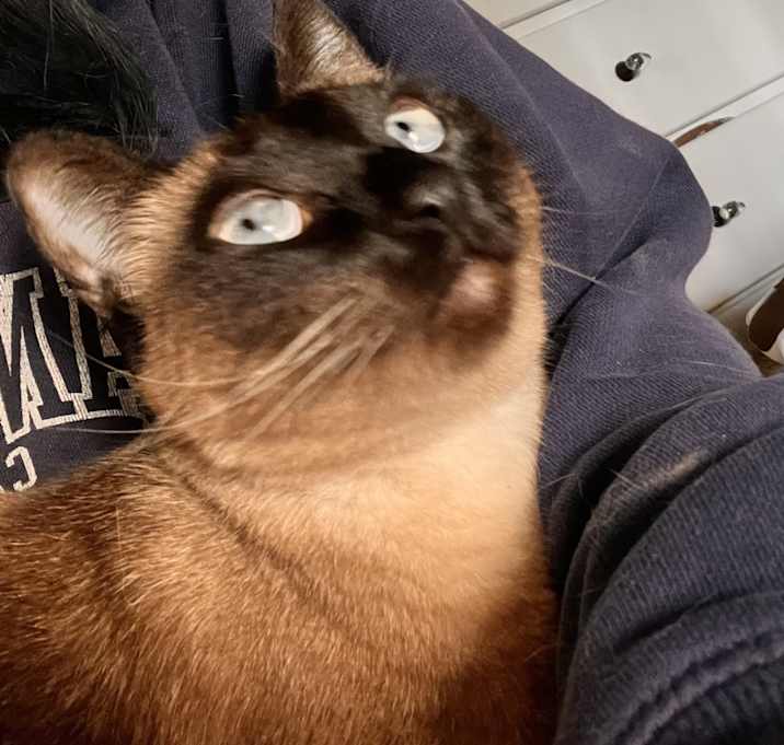 Photo of Elon