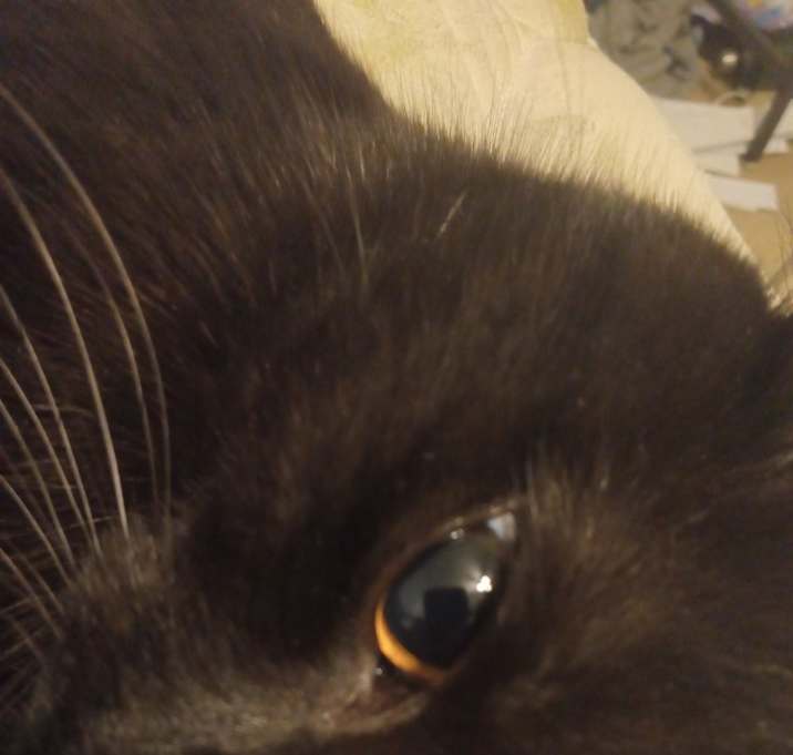 Photo of Billy