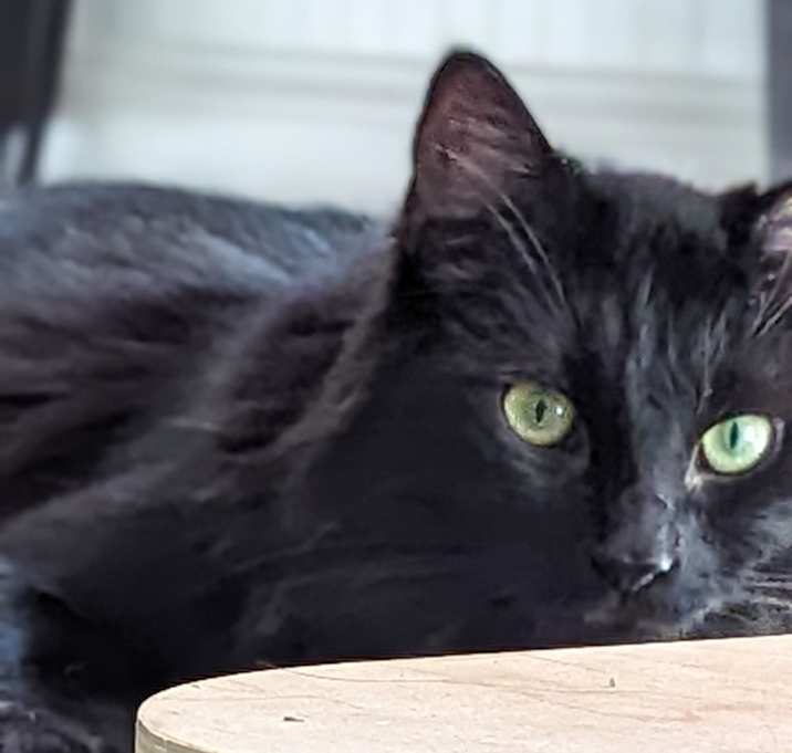 Photo of Tiny Tim